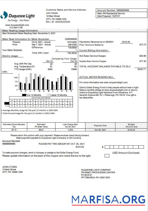 Realistic USA Pennsylvania Duquesne Light Company utility bill template in Word and PDF format
